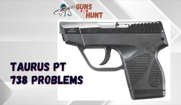 Common Taurus PT 738 Problems and How To Fix