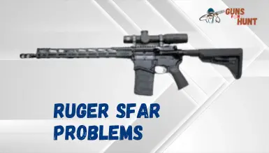 Ruger Sfar Problems And Their Solutions