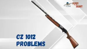 CZ 1012 Problems