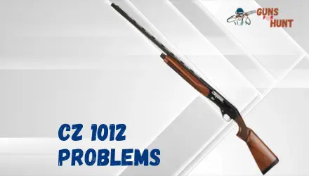 CZ 1012 Problems And Their Solutions