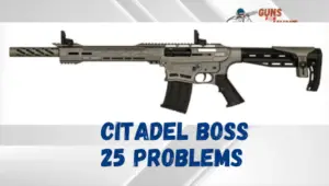 Citadel Boss 25 Problems