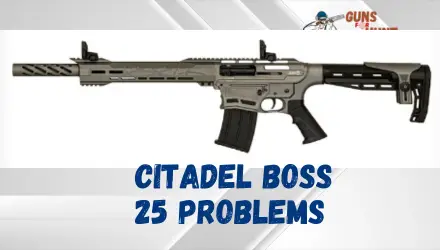 Citadel Boss 25 Problems And Their Solutions