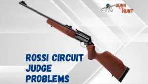Rossi Circuit Judge Problems
