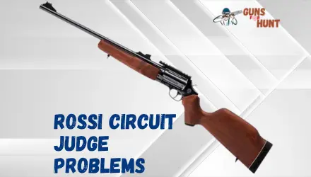 Rossi Circuit Judge Problems And Their Solutions