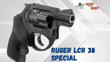 Ruger LCR 38 Special Problems And Their Solutions