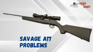Savage A17 Problems