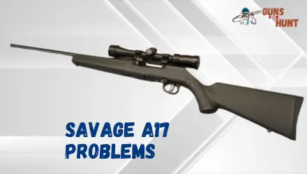 Savage A17 Problems And Their Solutions