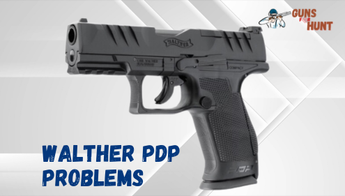Walther PDP Problems And Their Solutions