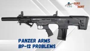 Panzer Arms BP-12 Problems