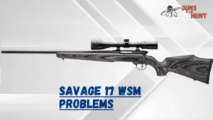 Savage 17 WSM Problems