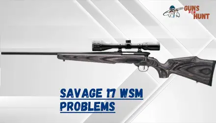Savage 17 WSM Problems And Their Solutions