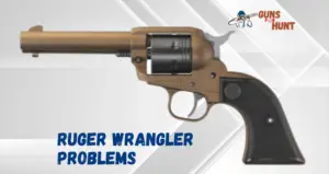 Ruger Wrangler Problems