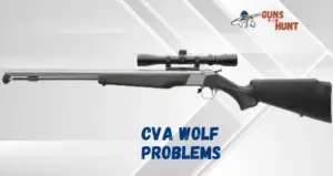 CVA Wolf Problems