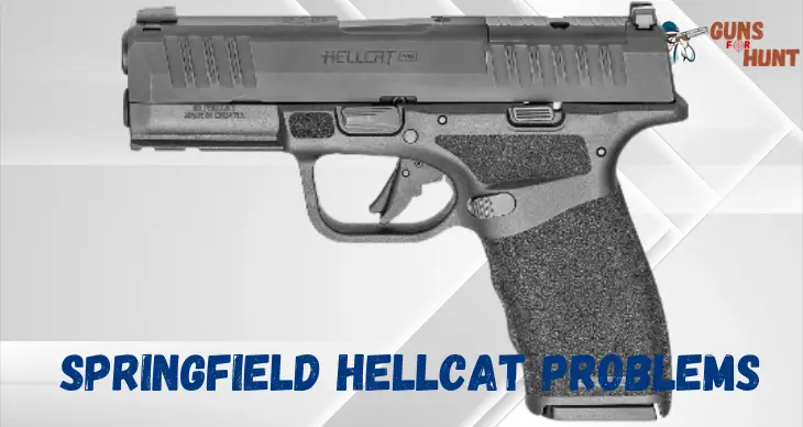 Springfield Hellcat Problems And Their Solutions