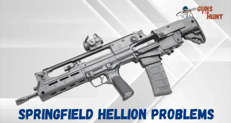 Springfield Hellion Problems And Their Solutions