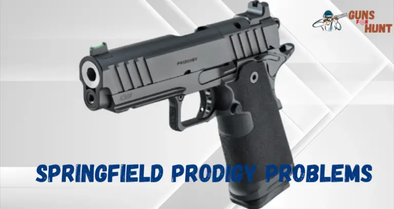 Springfield Prodigy Problems And Their Solutions